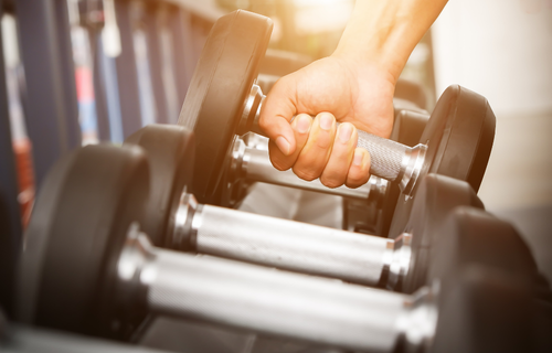 Physical Education
 Equipment and Tools
