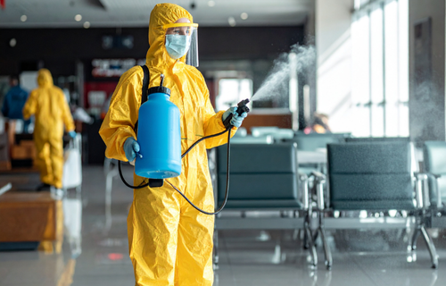 renew horizon website photos